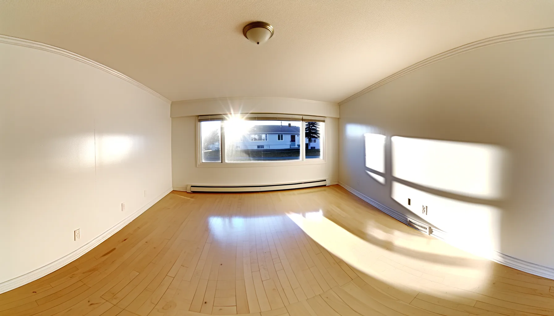 Post-Restoration Clean-up